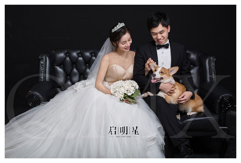 厦门启明星婚纱照风格_第一夫人 厦门启明星婚纱摄影